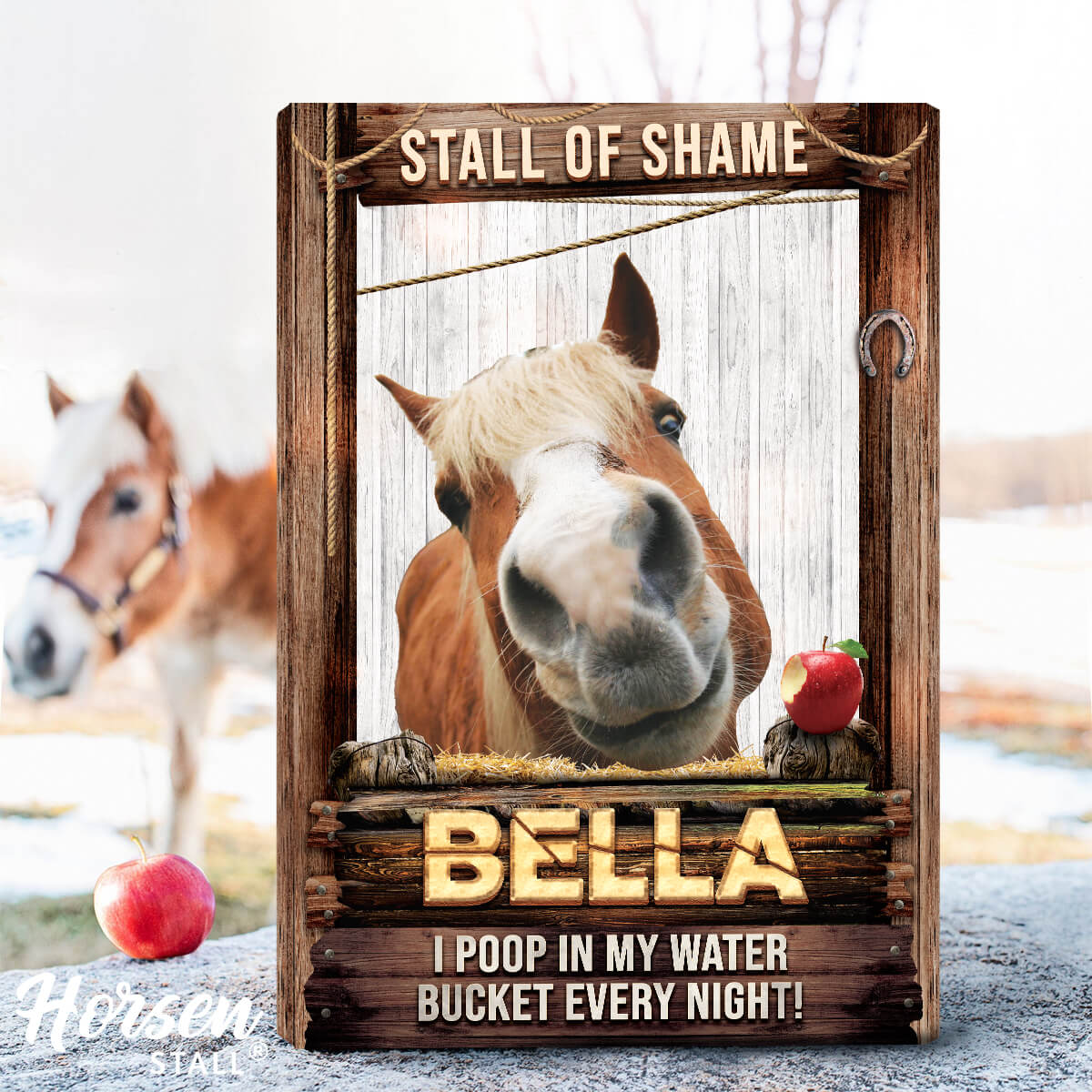 Stall of Shame - Funny Horse Shaming Canvas